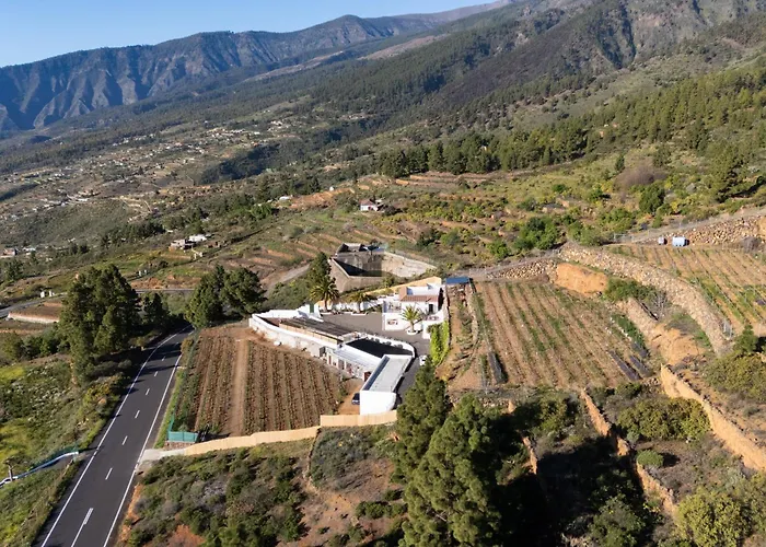 La Palmera, Infinite Views *