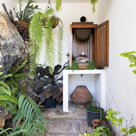 La Palmera, Infinite Views فيلة