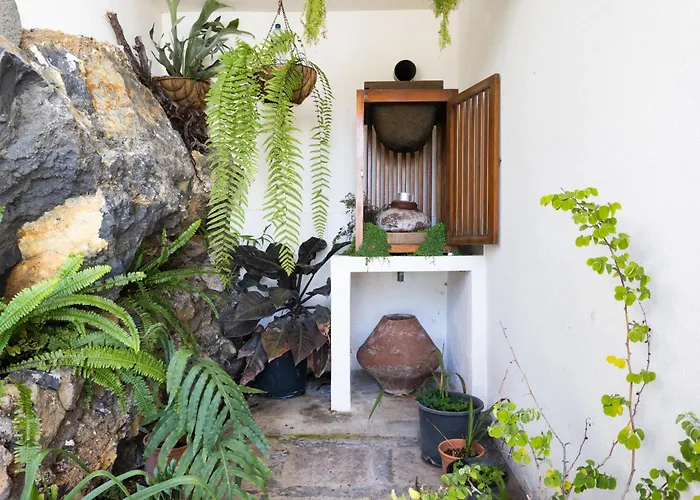 La Palmera, Infinite Views