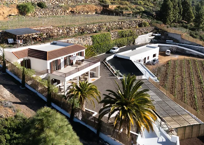 La Palmera, Infinite Views